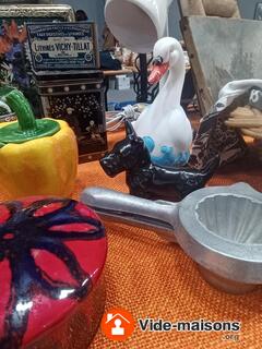 Photo du vide-maison Grand Vide-Hangar Brocante